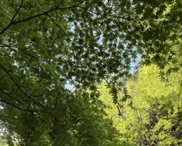 ◆ 6月に多い不調とその原因 ◆ 6月に多い不調とその原因